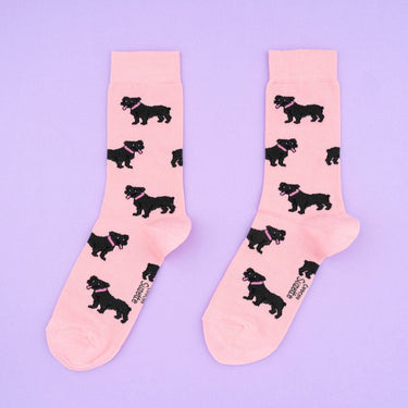Chaussettes Staffie